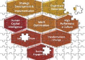 Organisational effectiveness
